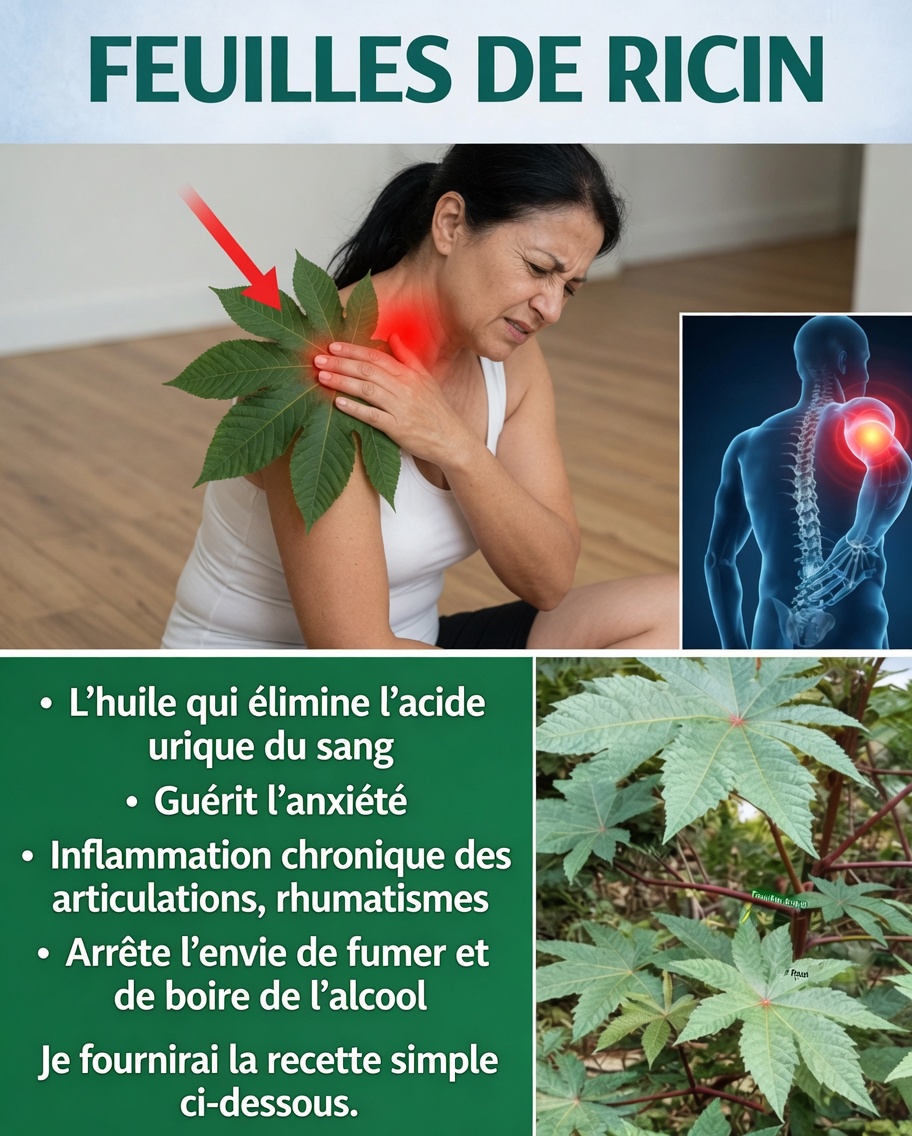Huile de ricin (aceite de higuereta / minyak jarak) : bienfaits pour la santé et comment l’utiliser pour les cheveux