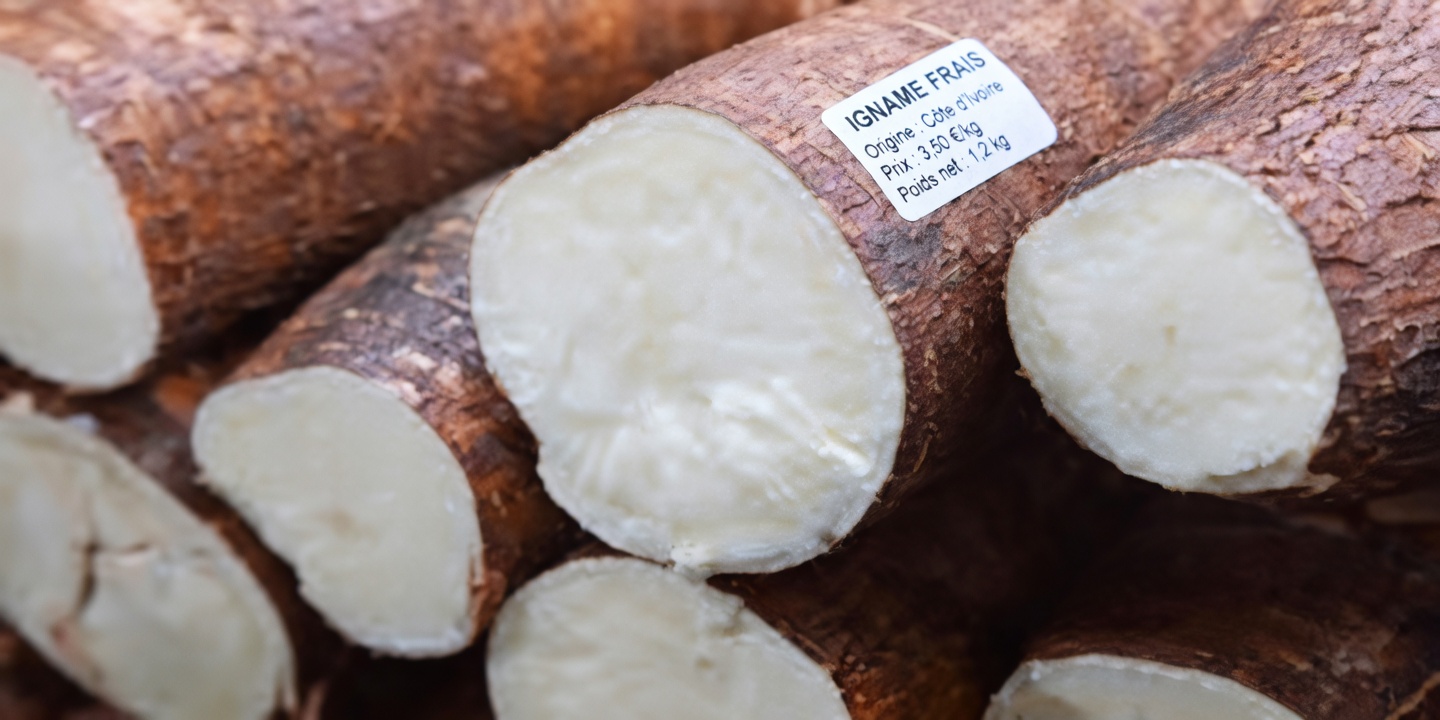 Les médecins avertissent : les risques et les bienfaits cachés du manioc (yuca) que vous devriez connaître