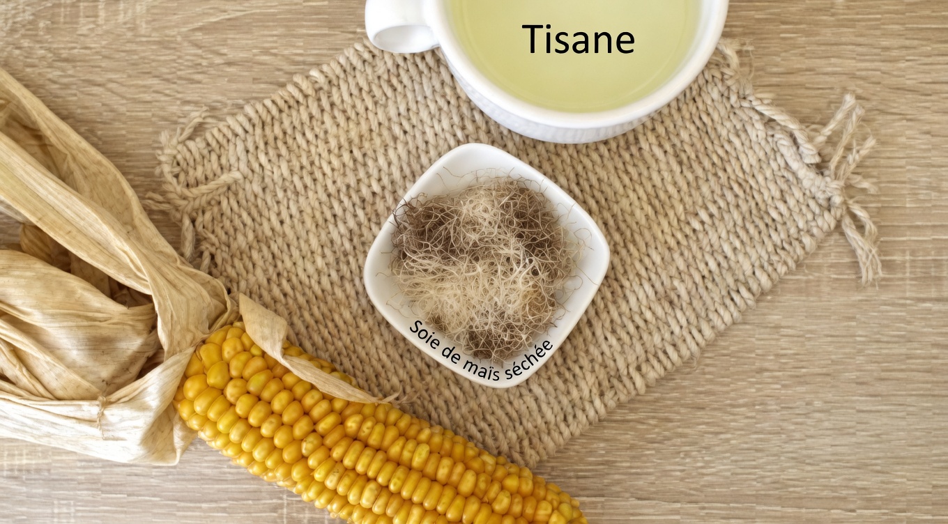 8 meilleurs thés diurétiques pour réduire naturellement les ballonnements et la rétention d’eau