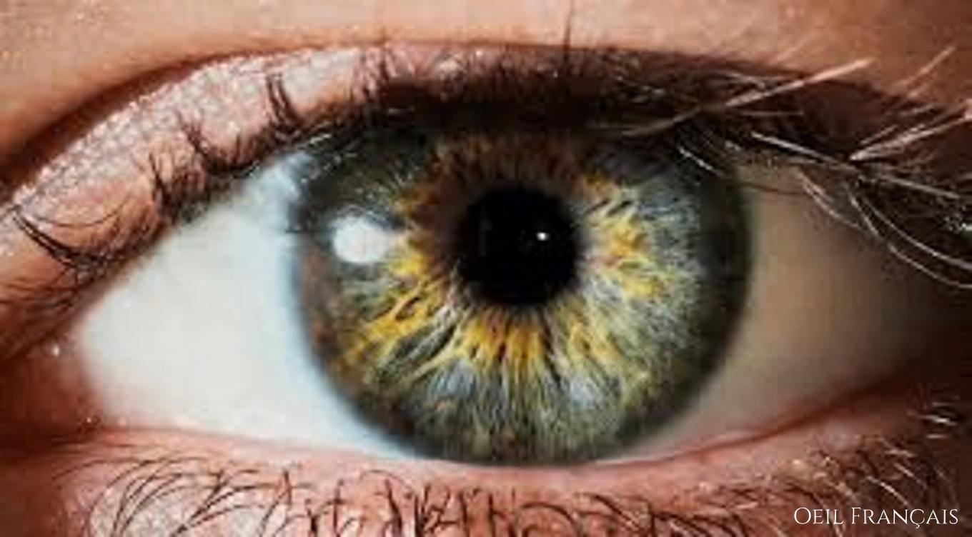 Les personnes de plus de 60 ans mangent CECI avant de se coucher et se RÉVEILLENT avec une vision plus nette !