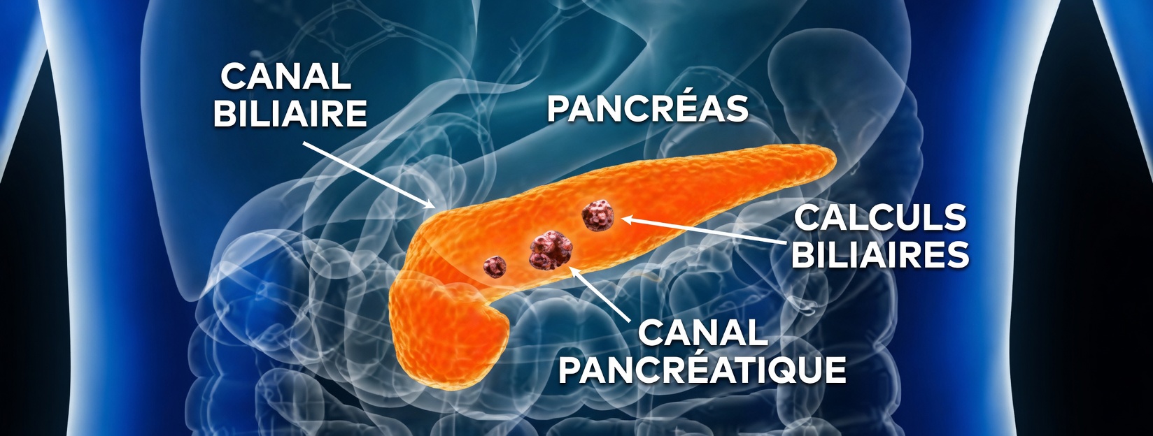 10 signes avant-coureurs alarmants du cancer du pancréas que vous ne pouvez pas ignorer