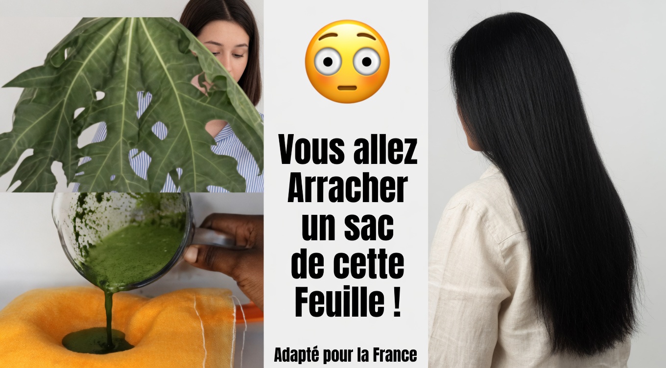 Adoptez le pouvoir des feuilles de papayer – un remède naturel pour des cheveux jeunes et éclatants
