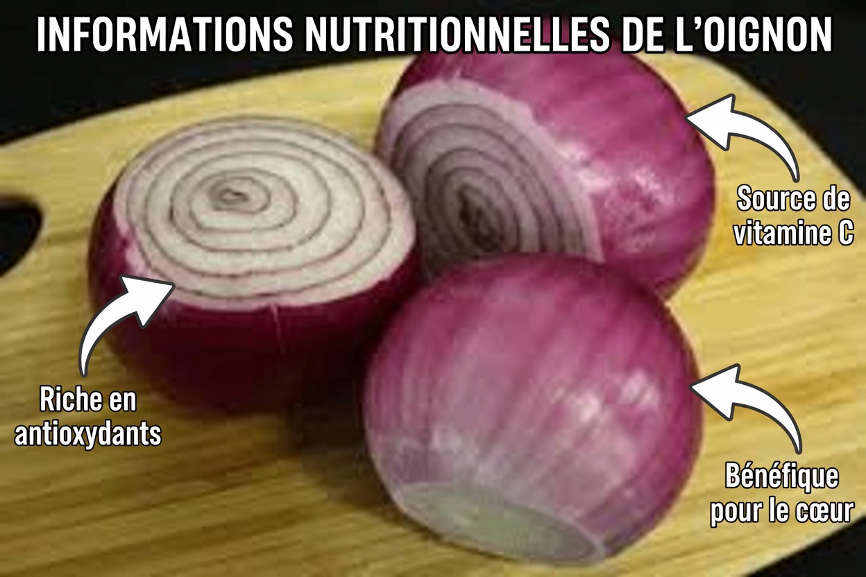 Seniors, râpez UN oignon rouge ce soir et étalez ce masque violet sur votre visage — regardez les rides profondes s’estomper de 38 % et la peau rayonner comme à 50 ans en seulement 10 nuits