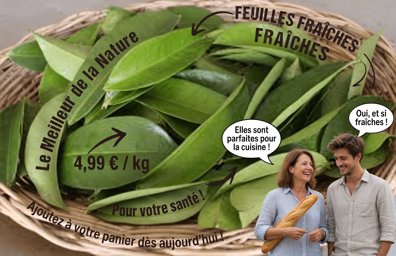 La feuille dont tout le monde parle : exploration des feuilles de corossol et de leur rôle potentiel dans le bien-être