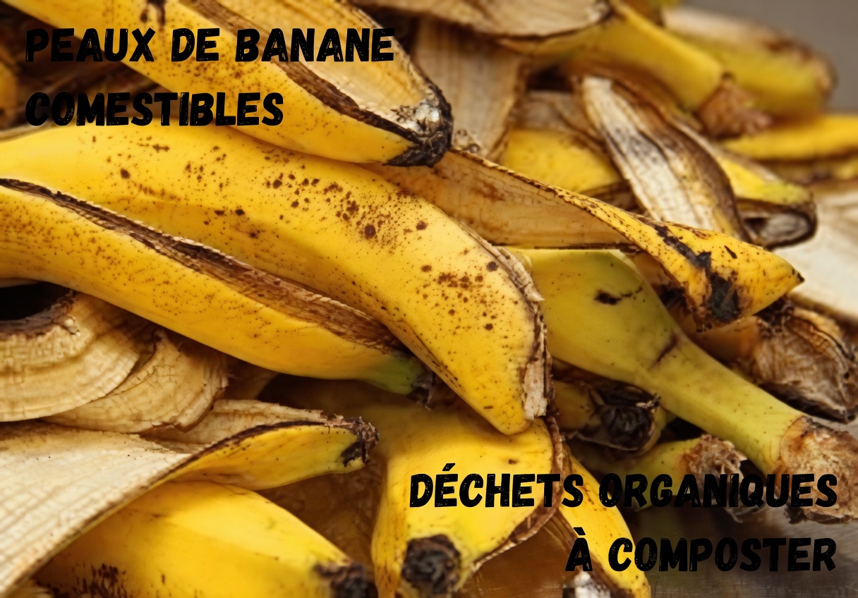 7 façons naturelles d’atténuer les ridules et de booster l’éclat de la peau avec des peaux de banane