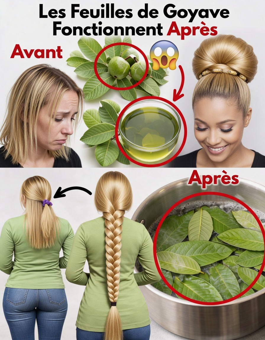 Feuilles de goyavier pour la croissance des cheveux : 12 méthodes naturelles par lesquelles cette feuille peut favoriser des cheveux plus sains et plus fournis