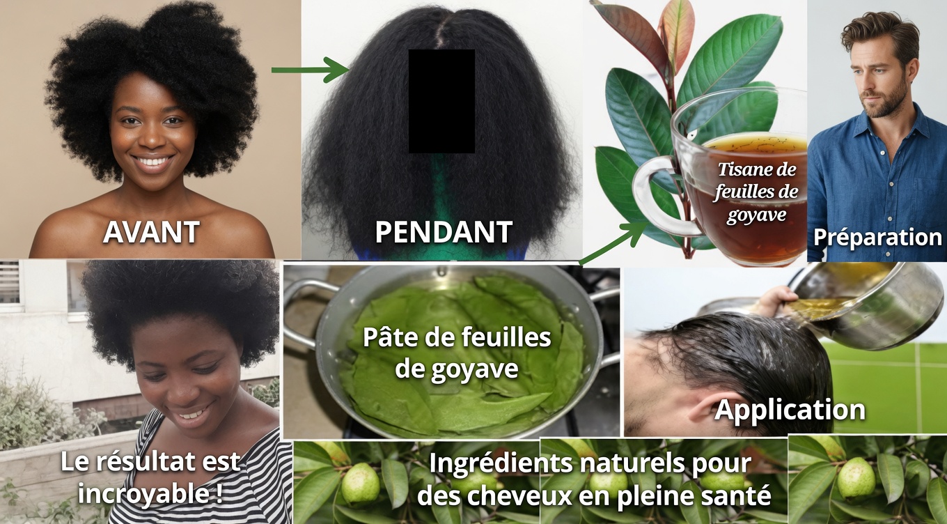Feuilles de goyavier pour la croissance des cheveux : 12 méthodes naturelles par lesquelles cette feuille peut favoriser des cheveux plus sains et plus fournis