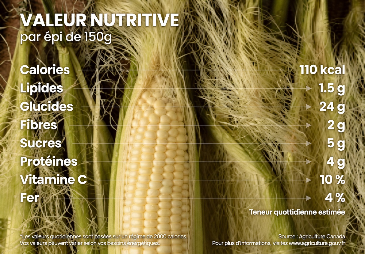 Débloquer les puissants bienfaits du stigmate de maïs pour la santé : comment l’utiliser et principales précautions