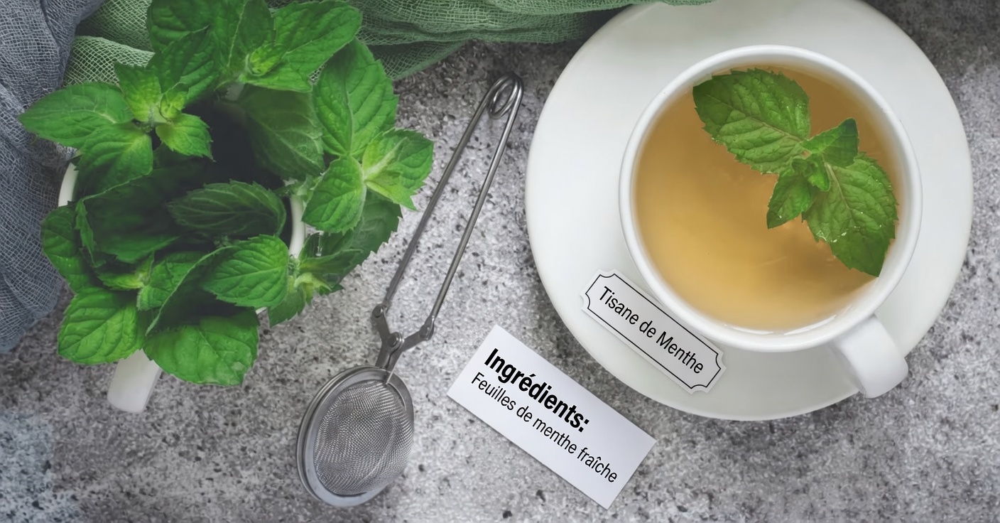 Découvrez 6 plantes puissantes qui peuvent vous aider à soutenir naturellement votre santé et votre bien-être au quotidien