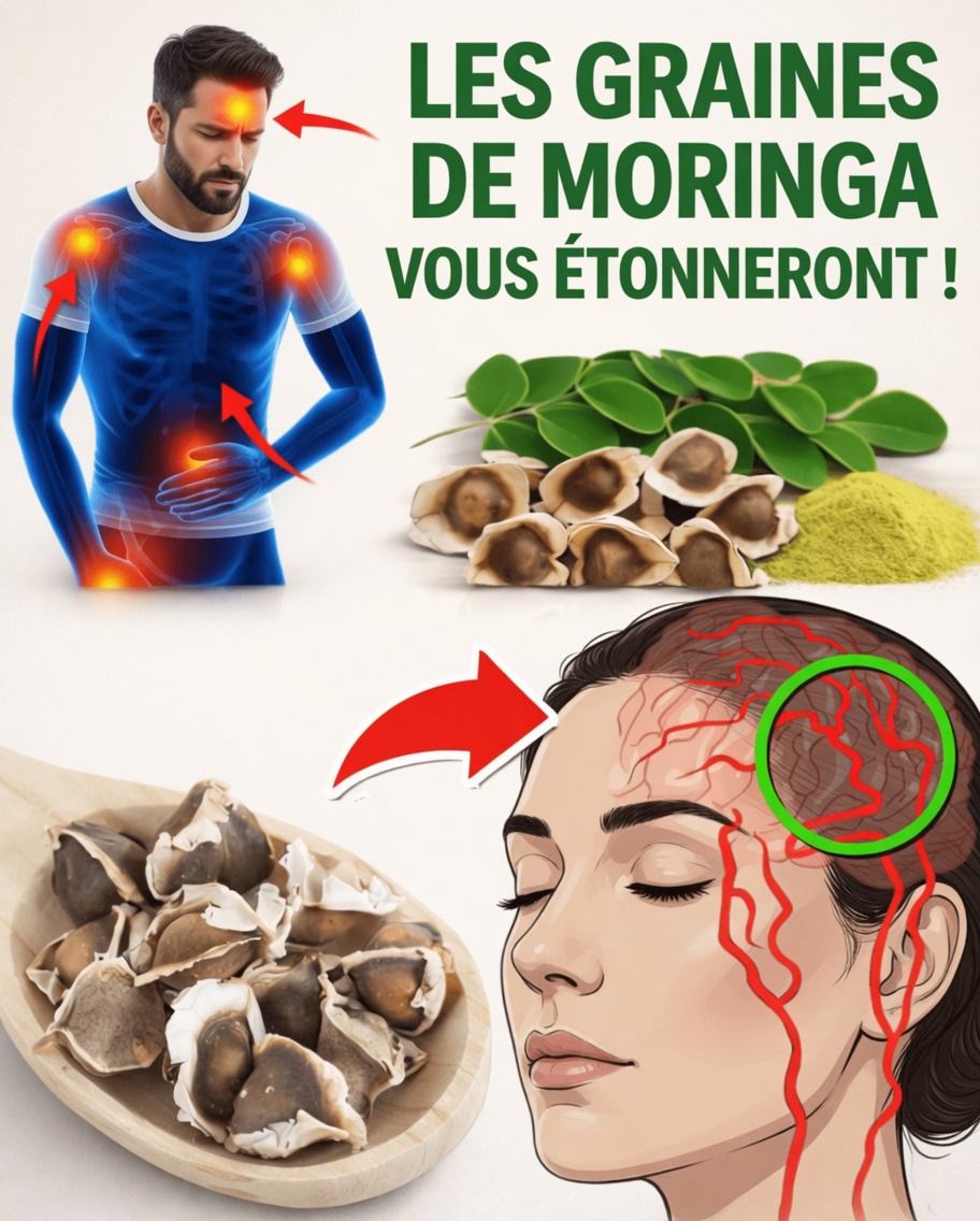12 façons dont les graines de moringa peuvent soutenir votre santé et votre bien-être au quotidien
