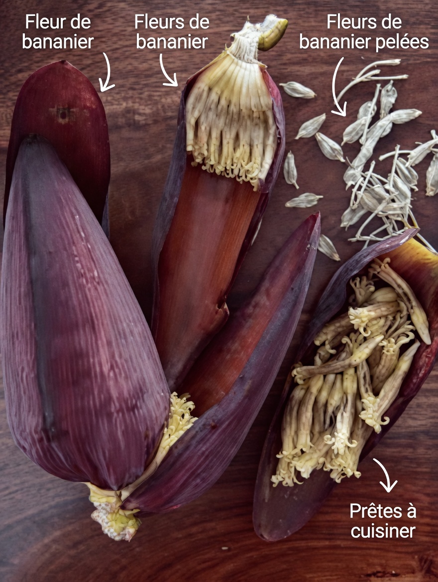 7 avantages incroyables pour la santé des fleurs de bananier