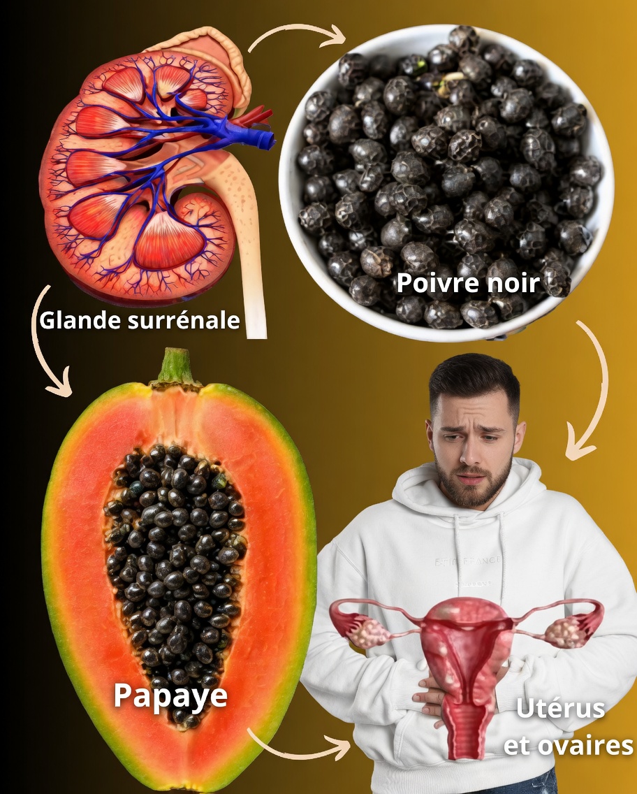 Le superaliment négligé dans votre corbeille de fruits : 14 avantages étonnants des graines de papaye qui pourraient transformer votre bien-être au quotidien