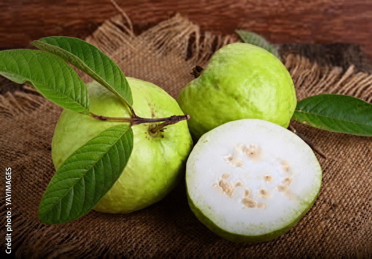 Comment la goyave peut soutenir la santé de vos yeux : 12 façons naturelles de renforcer le bien-être visuel