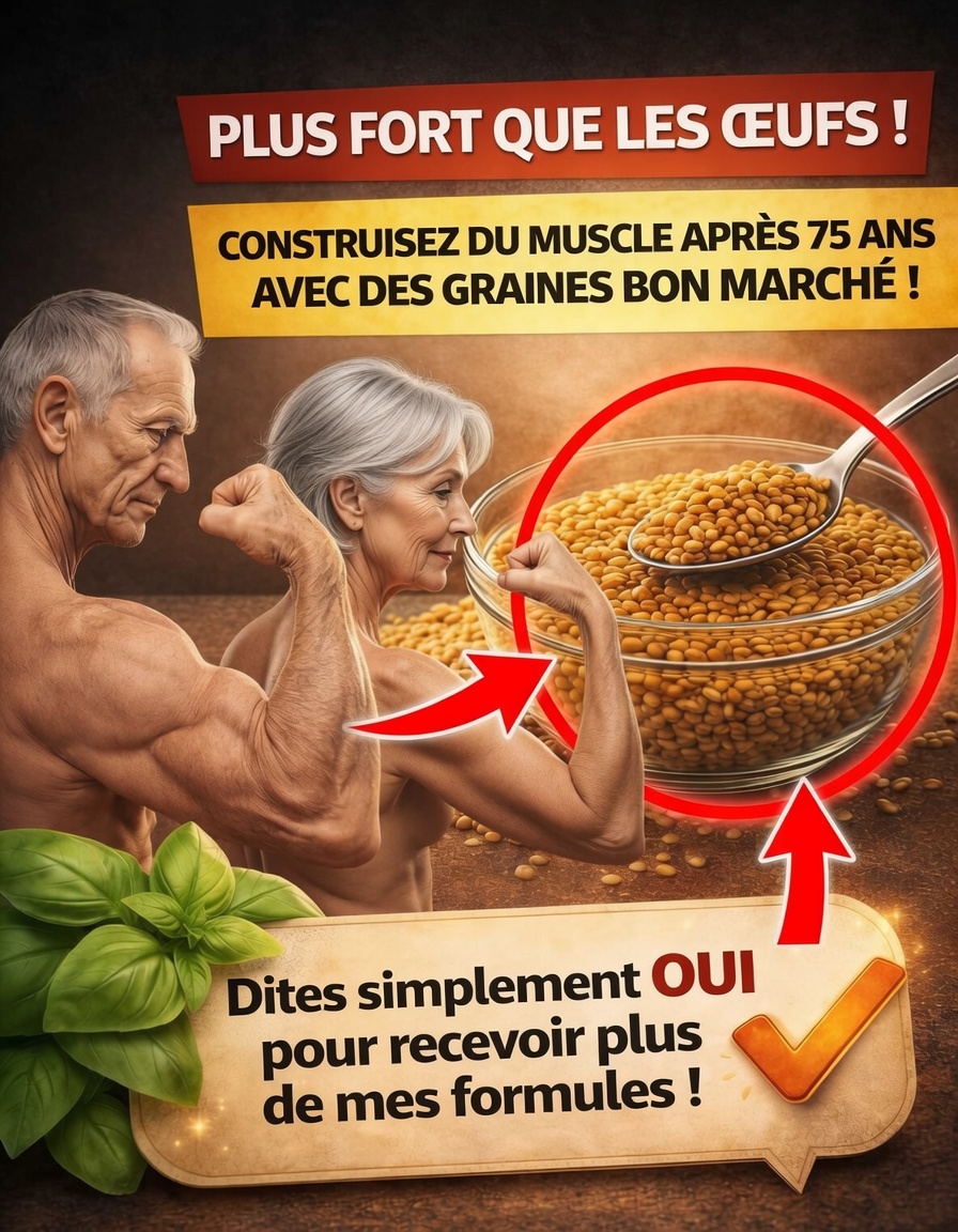 Ces graines simples et abordables pourraient-elles être plus efficaces que les œufs pour le soutien musculaire chez les personnes de plus de 75 ans ?