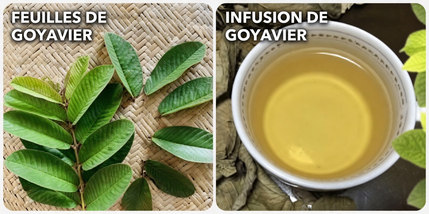 Comment la goyave peut naturellement soutenir la santé oculaire des personnes de plus de 50 ans