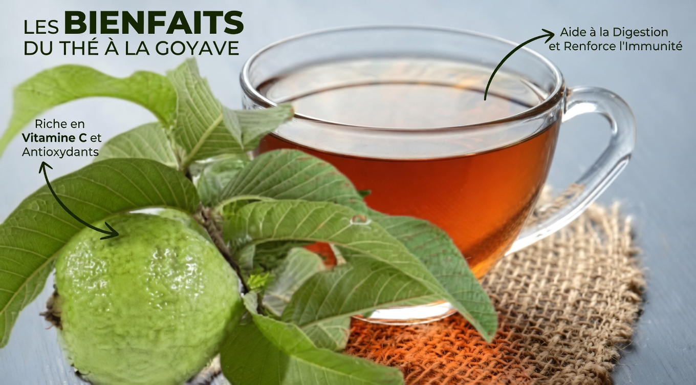 Bienfaits des feuilles de goyavier : le remède naturel négligé que vous ne devriez pas ignorer
