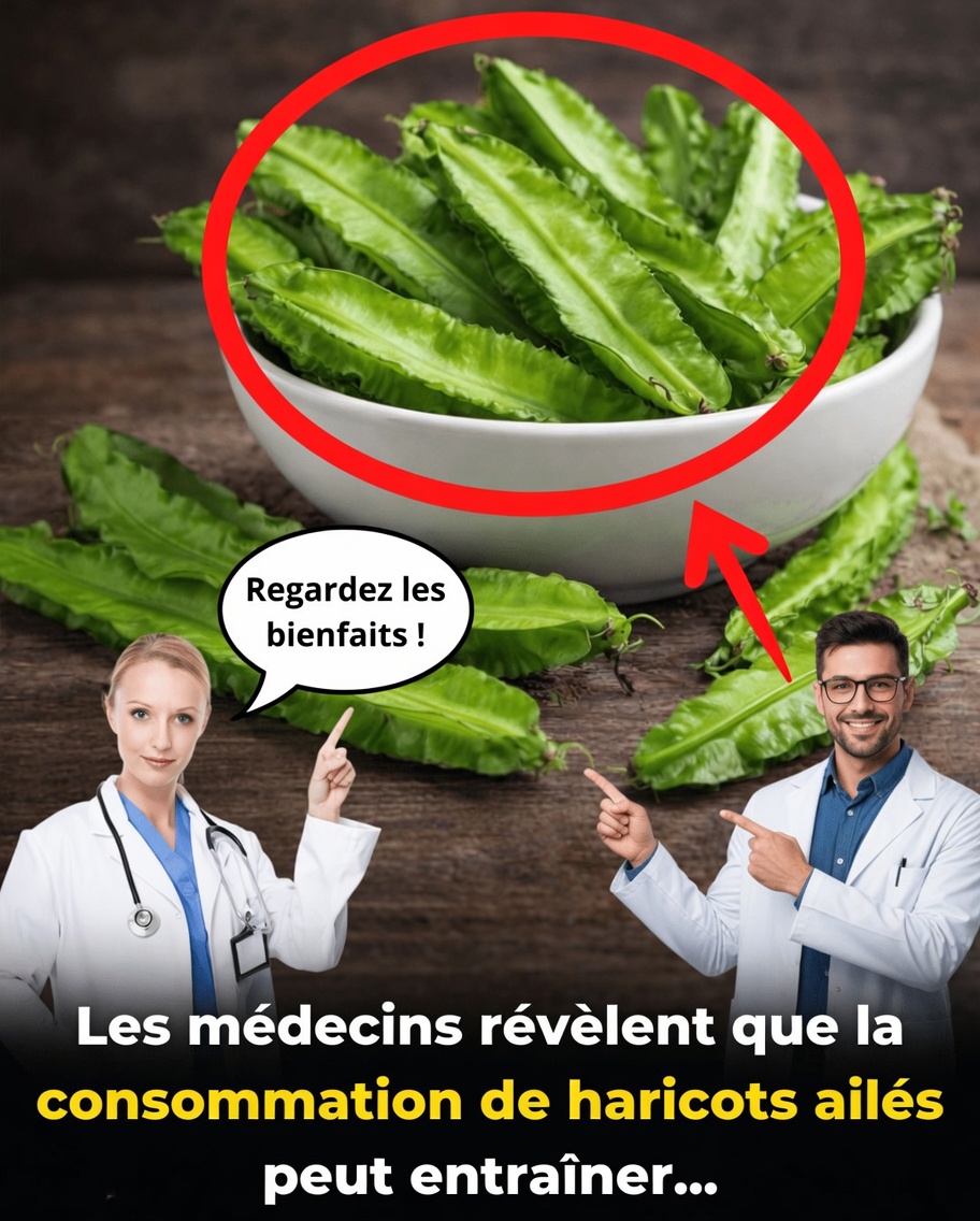 Le secret du haricot ailé : un légume simple aux grands bienfaits pour les yeux, l’immunité et la santé cardiaque