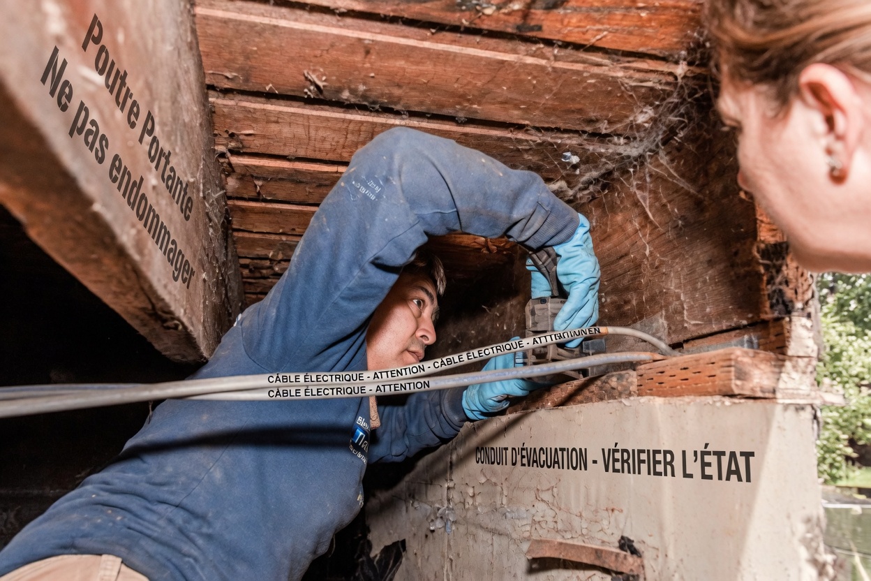 Arrêtez de gaspiller de l’argent en pesticides : la simple astuce du dentifrice qui transforme les foyers à travers l’Amérique