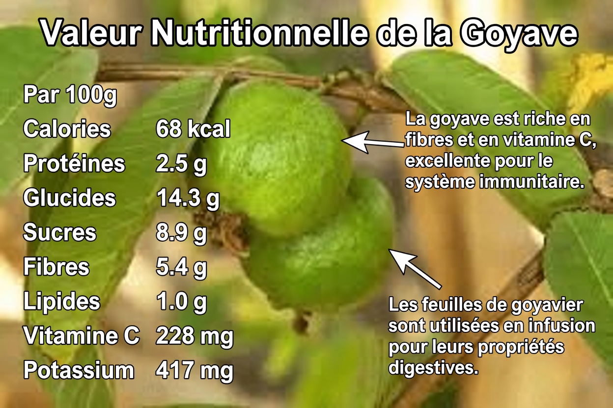 Top 3 façons de traiter la carie dentaire avec des feuilles de goyave – simples et économiques