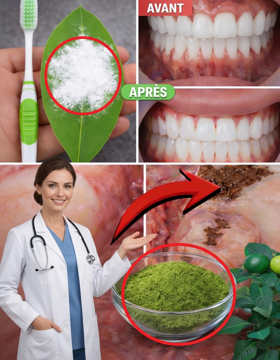 Comment éclaircir naturellement votre sourire avec des feuilles de goyavier : un remède maison doux