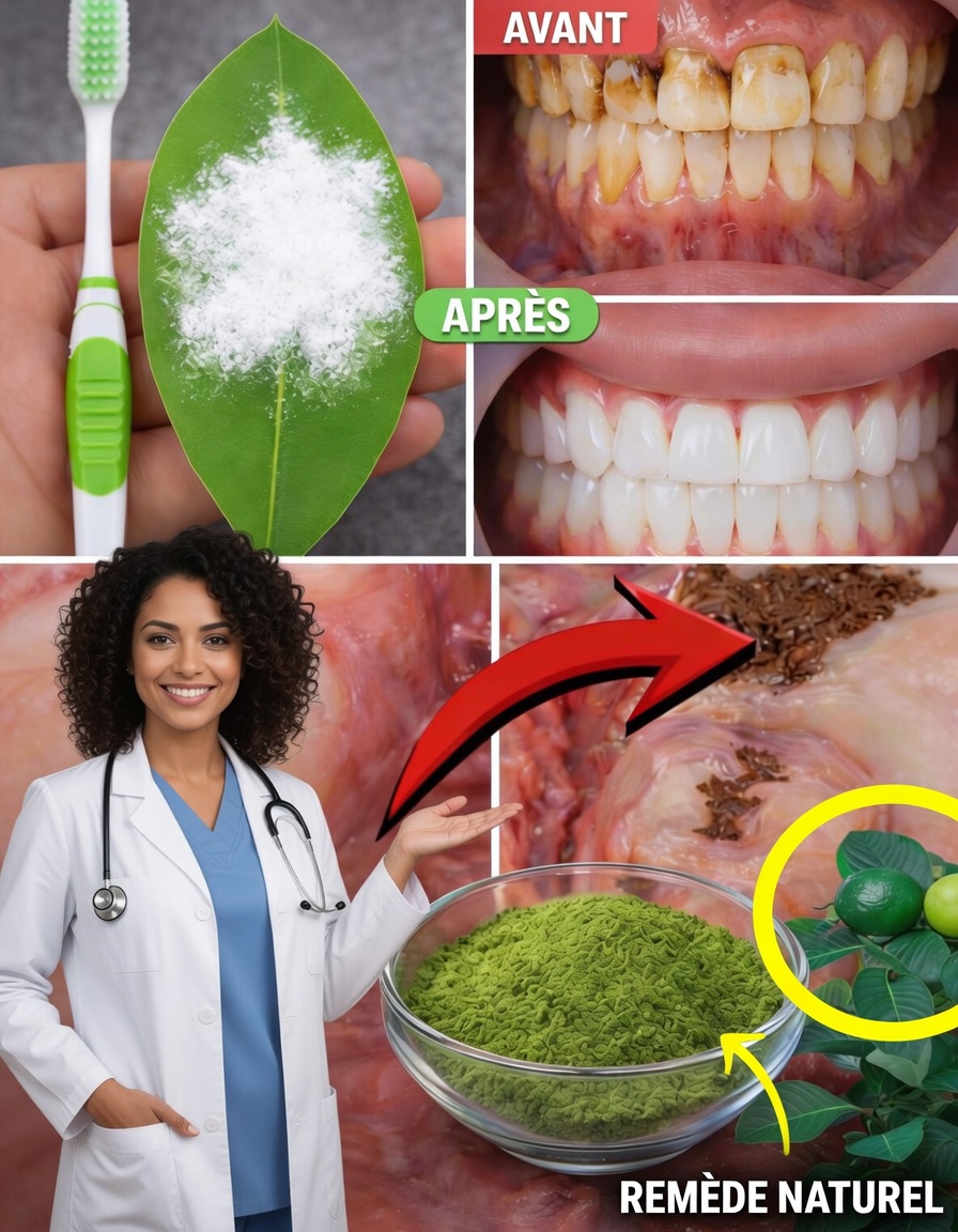 Conseils naturels simples pour intégrer des feuilles de goyavier fraîches à votre routine quotidienne d’hygiène bucco-dentaire pour une meilleure fraîcheur