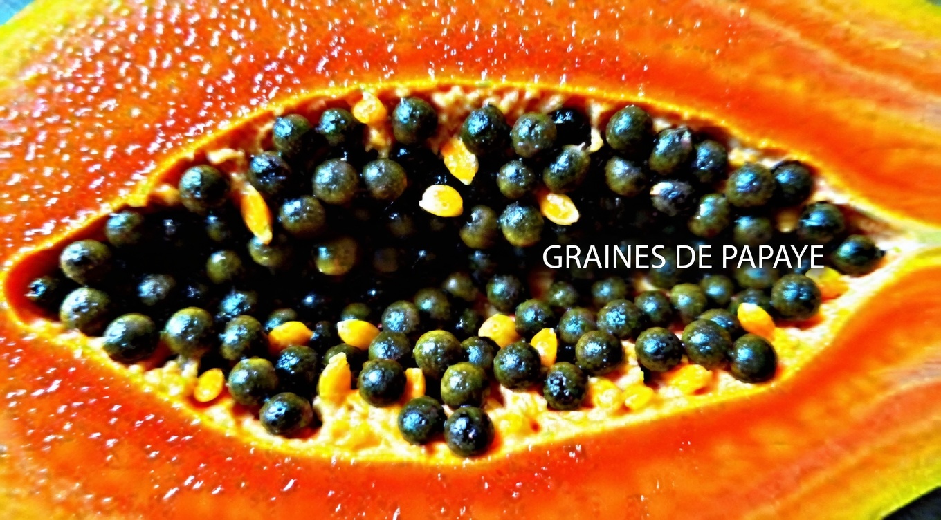 Comment les graines de papaye peuvent offrir un soutien naturel doux à la digestion et au bien-être au quotidien