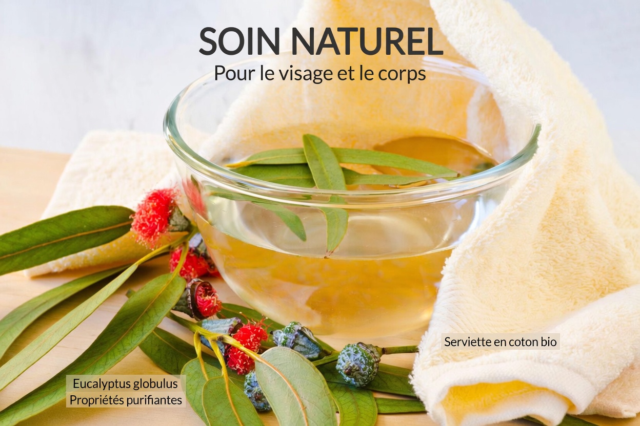 Méthodes naturelles pour nettoyer vos voies respiratoires et renforcer votre système immunitaire