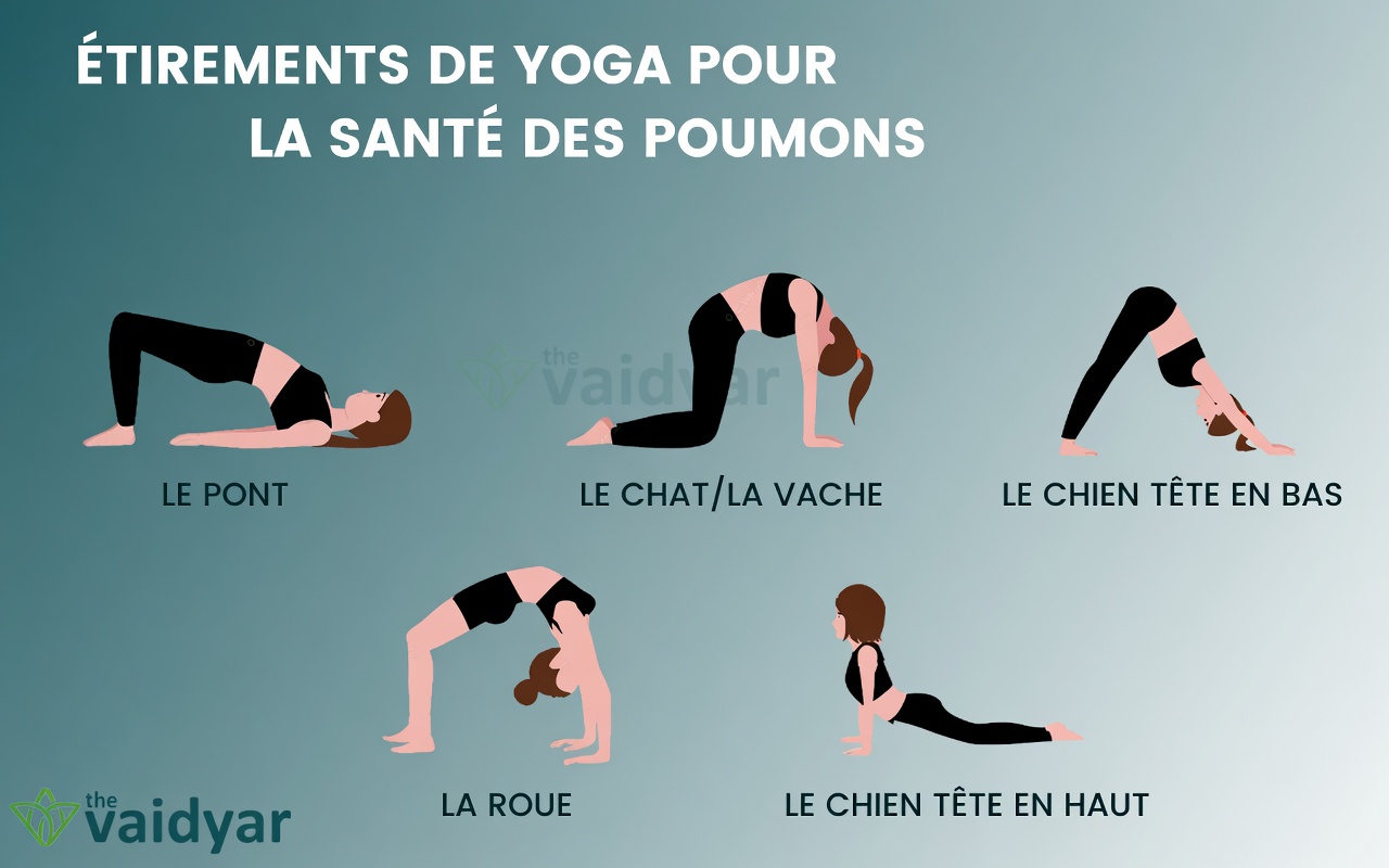 Méthodes naturelles pour nettoyer vos voies respiratoires et renforcer votre système immunitaire