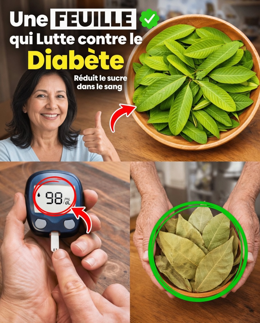 3 feuilles simples qui favorisent une glycémie stable, aident à perdre de la graisse et à dégager les artères : le pouvoir naturel caché dont vous avez besoin