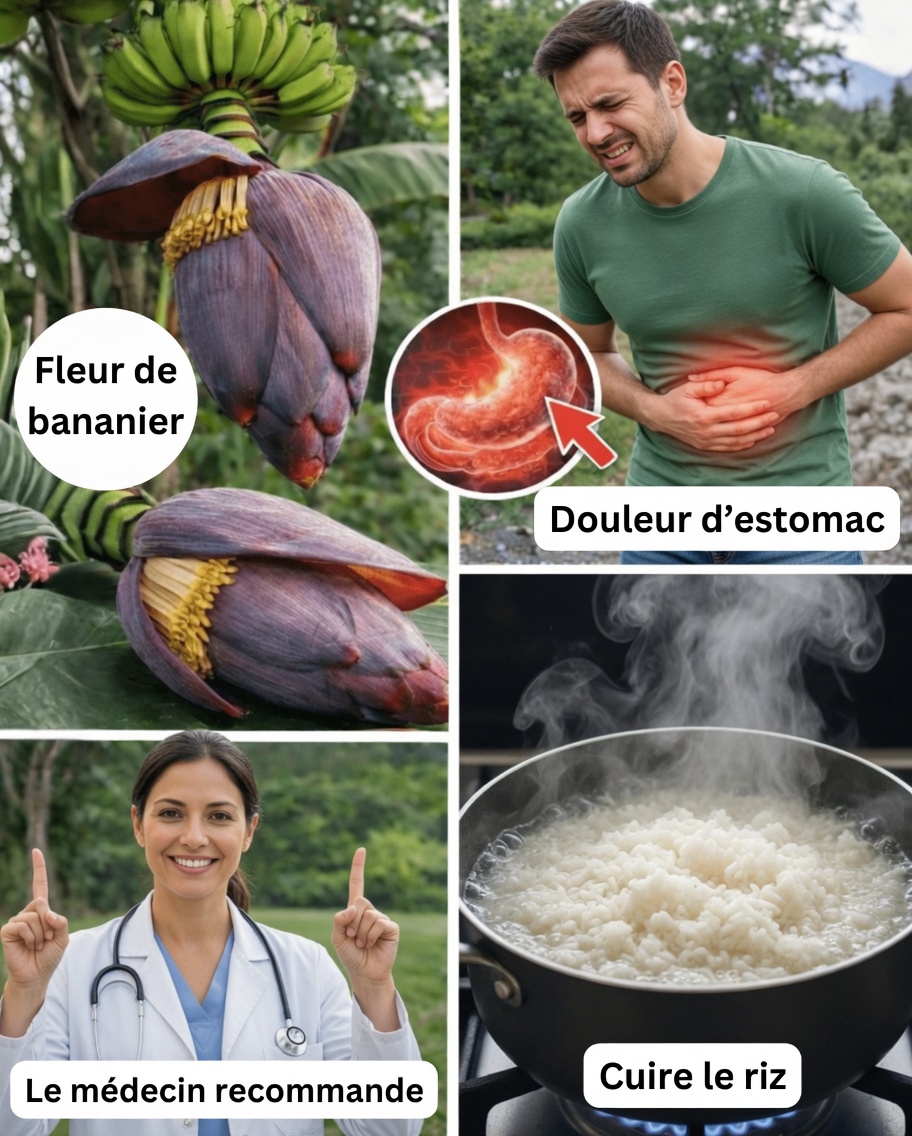 7 Incroyables bienfaits des fleurs de bananier pour la santé