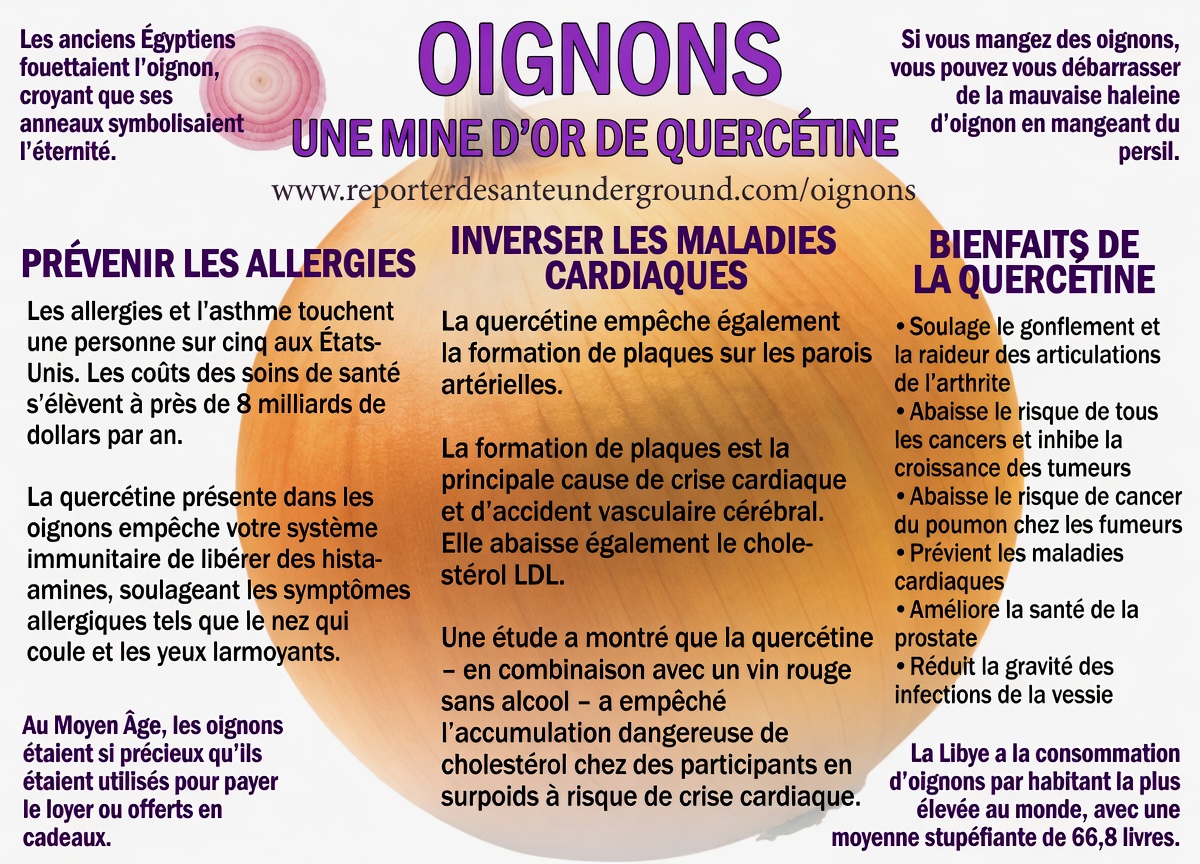 Oignon et pelures d’oignon : une approche naturelle douce pour le bien-être de la prostate et de la vessie