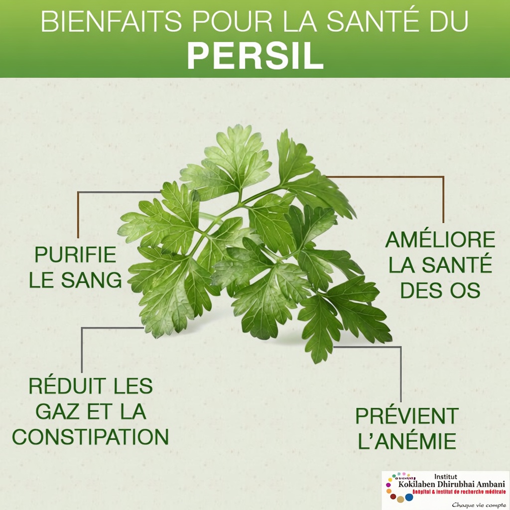 5 feuilles essentielles pour améliorer naturellement la santé de vos yeux