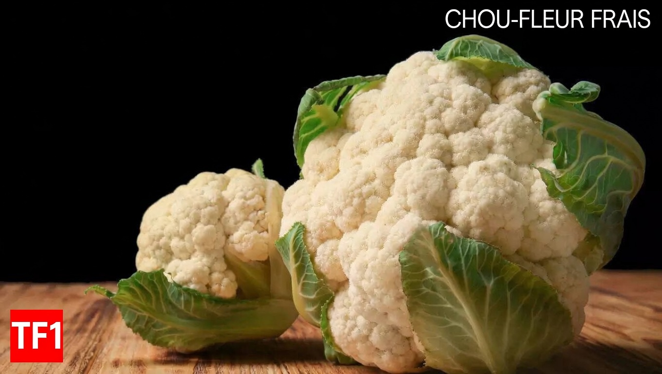 Top 10 des superaliments susceptibles de soutenir la santé des reins et d’aider à gérer la protéinurie