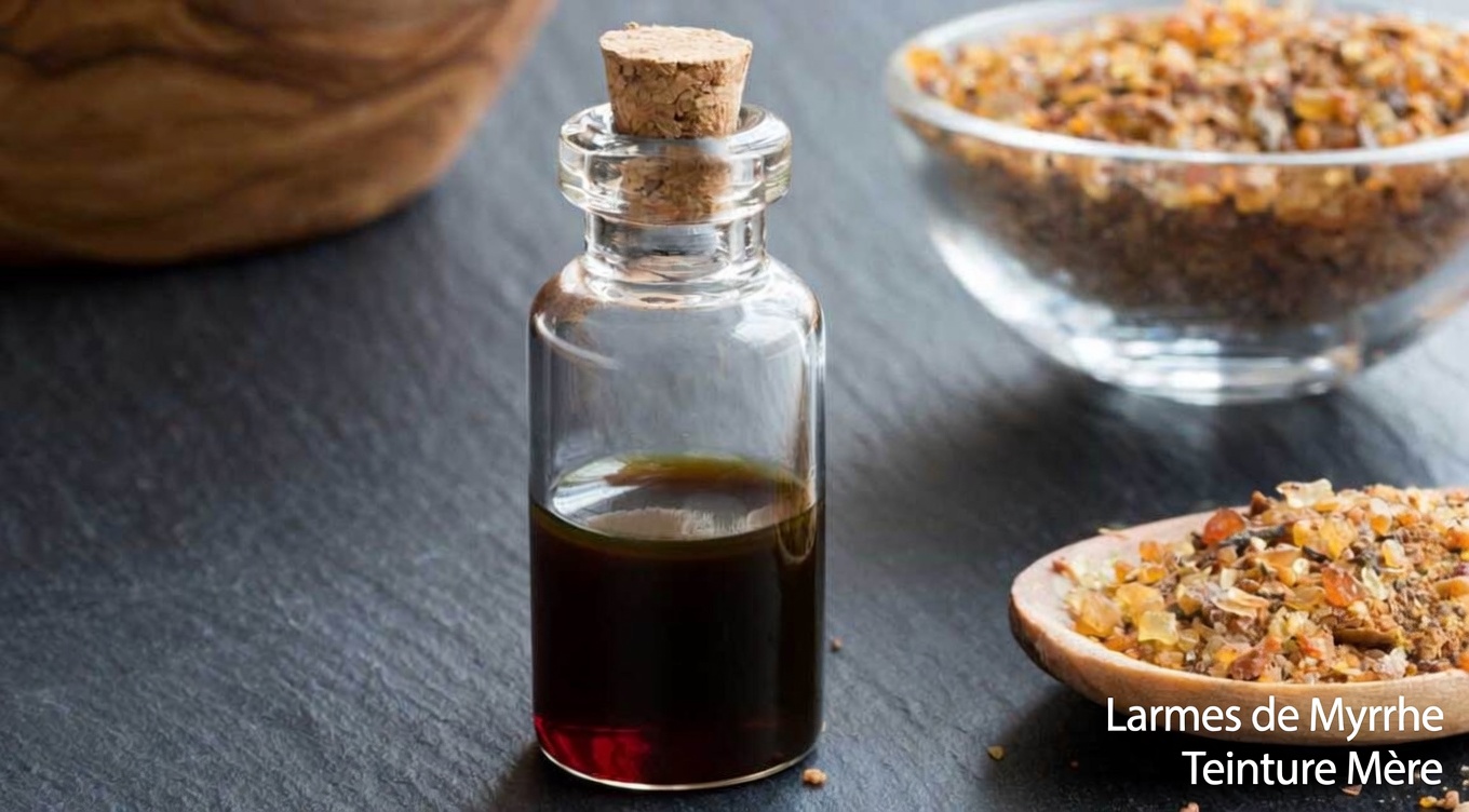 Huiles naturelles pour la santé de la prostate : 6 huiles essentielles à connaître