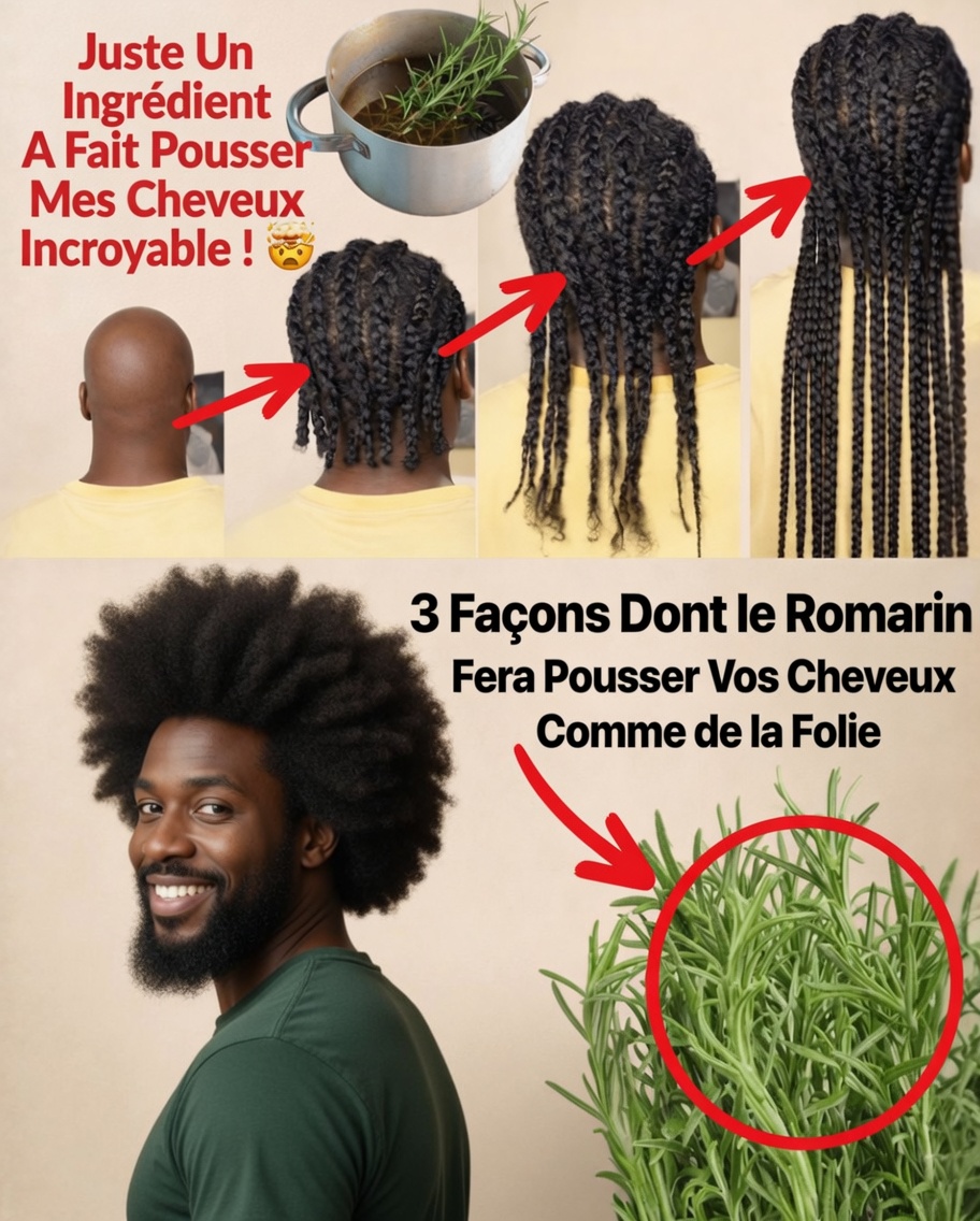 Le secret pour des cheveux plus épais : pourquoi le romarin pourrait être votre solution