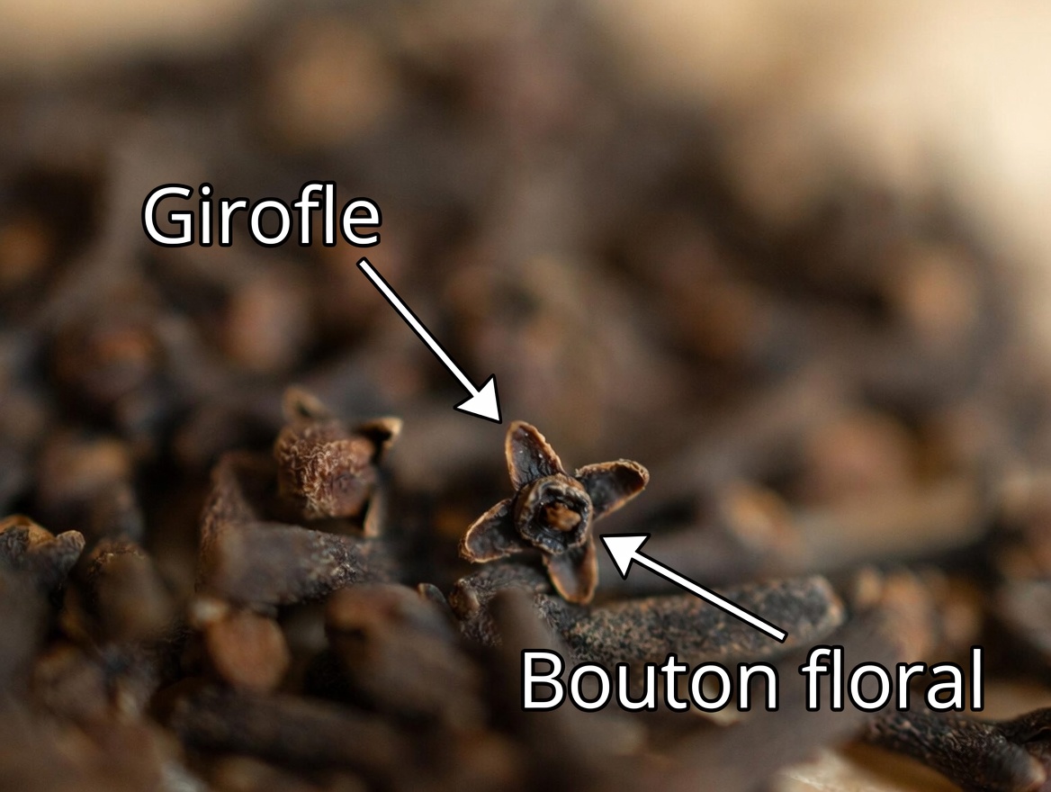 Ces 5 épices de cuisine soutiennent-elles discrètement le confort articulaire après 60 ans ?