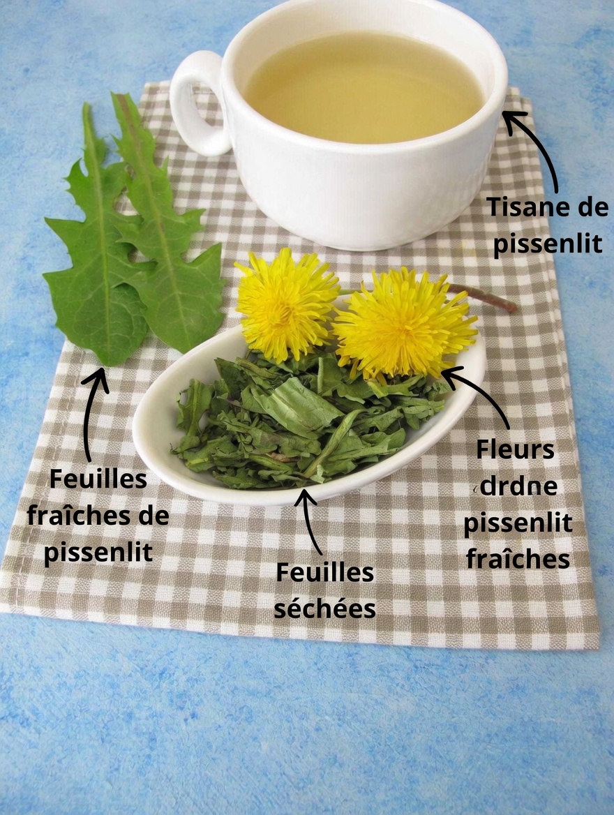 11 boissons du soir qui pourraient aider à soutenir la santé des reins pendant la nuit