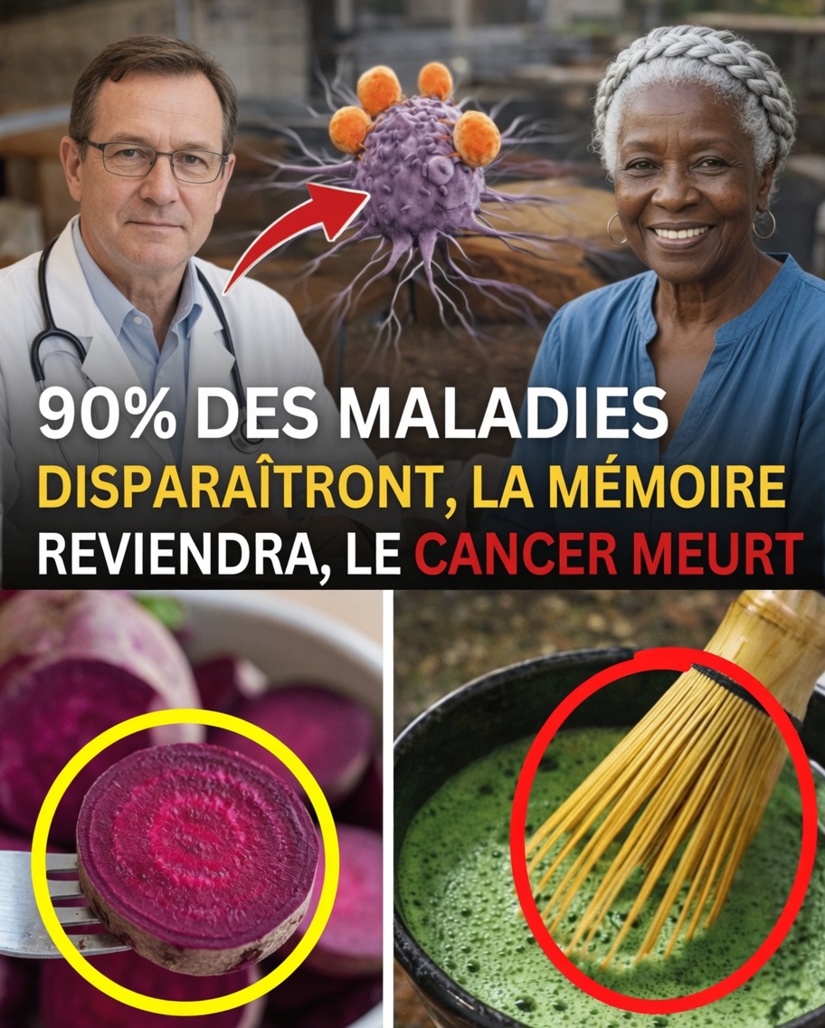Découvrez les secrets des centenaires japonais : mangez ainsi chaque jour pour potentiellement vivre jusqu’à 100 ans