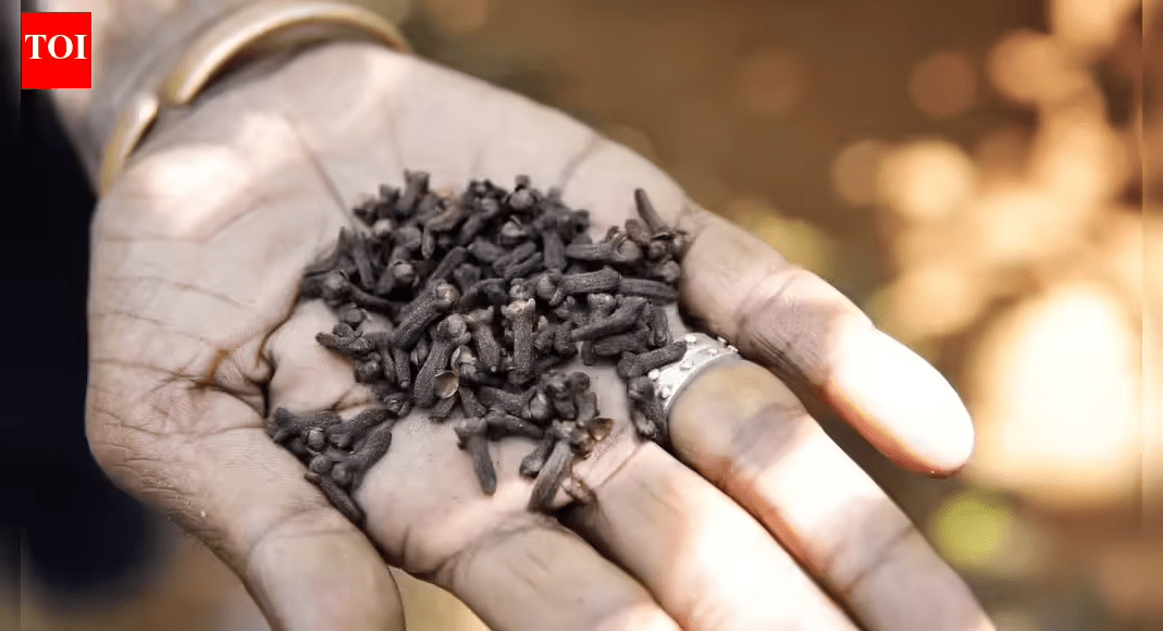 La vérité sur la mastication des clous de girofle : 8 erreurs courantes qui pourraient nuire à votre santé