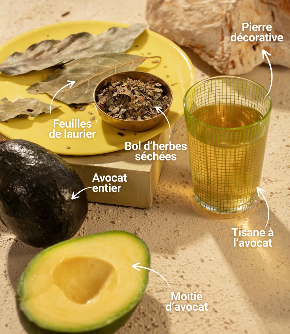 Les quatre feuilles d’avocatier guérisseuses : anciens remèdes naturels cachés dans votre jardin