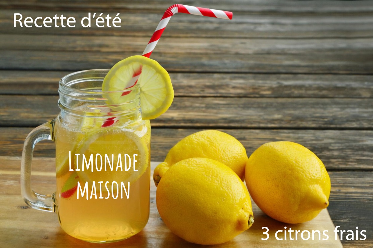 Top 10 des boissons naturelles pour stopper la protéinurie et améliorer rapidement la santé des reins !