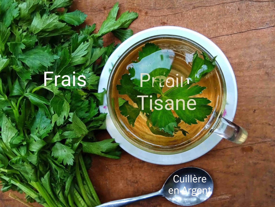 Top 10 des boissons naturelles pour stopper la protéinurie et améliorer rapidement la santé des reins !