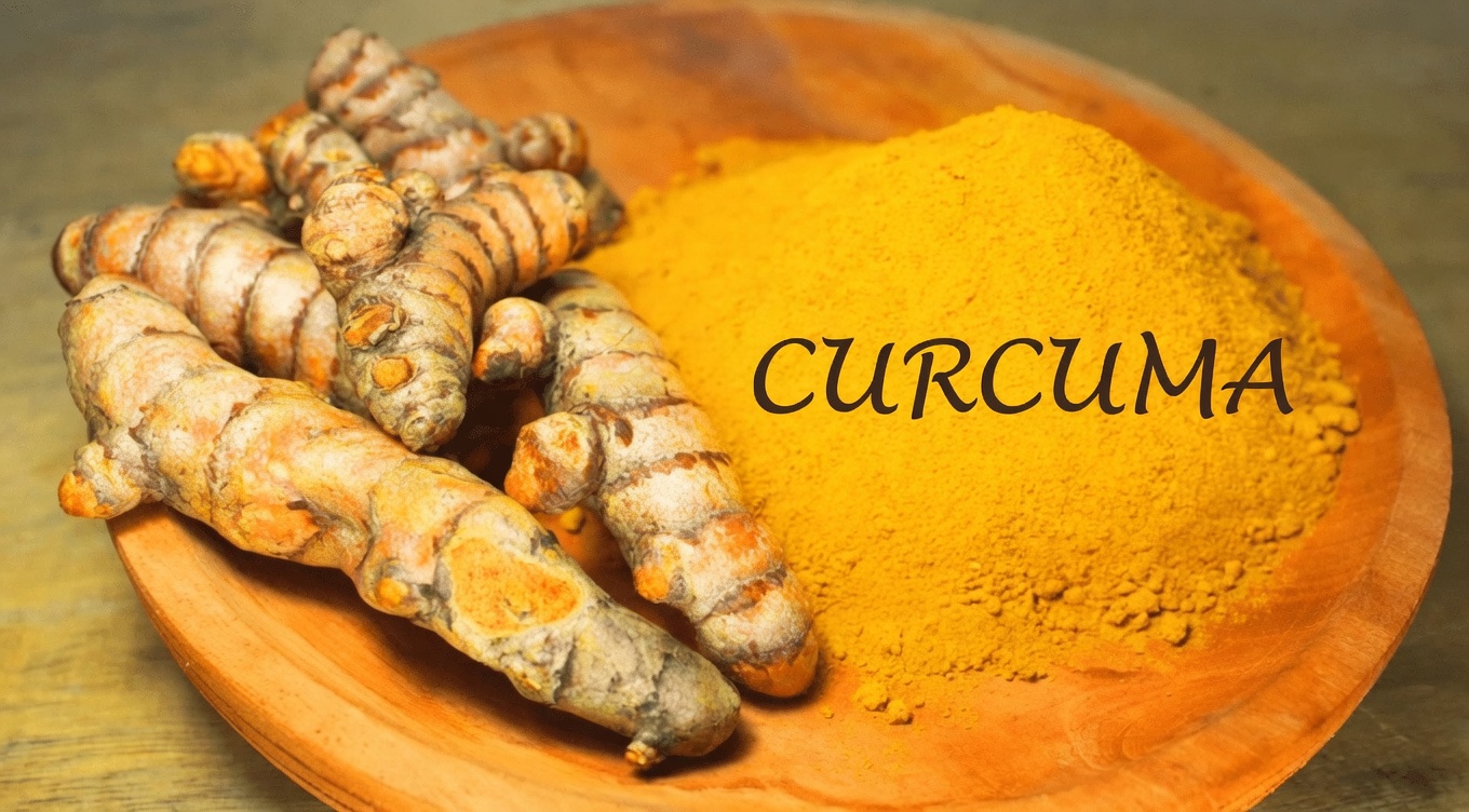 L’herbe qui pourrait transformer naturellement votre santé