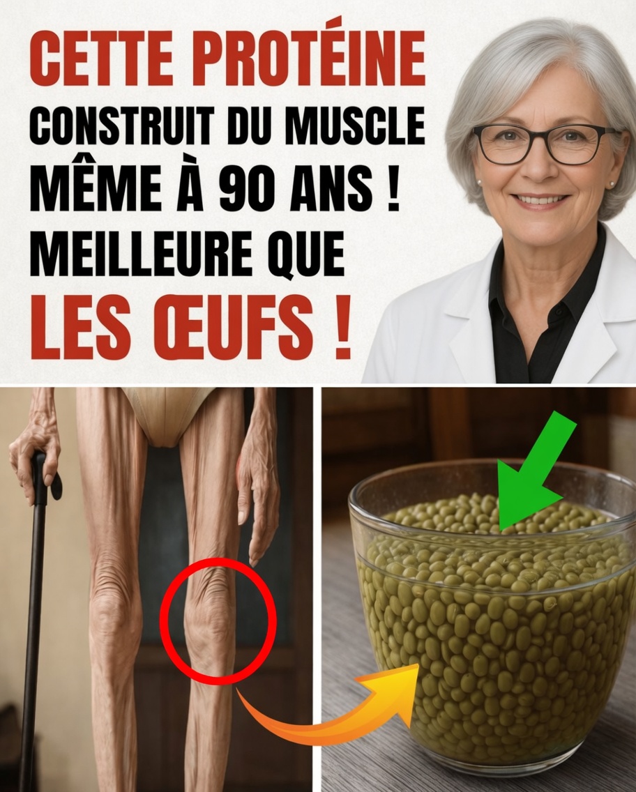 Retrouvez la force après 70 ans grâce à des graines riches en protéines : un plan simple et réaliste