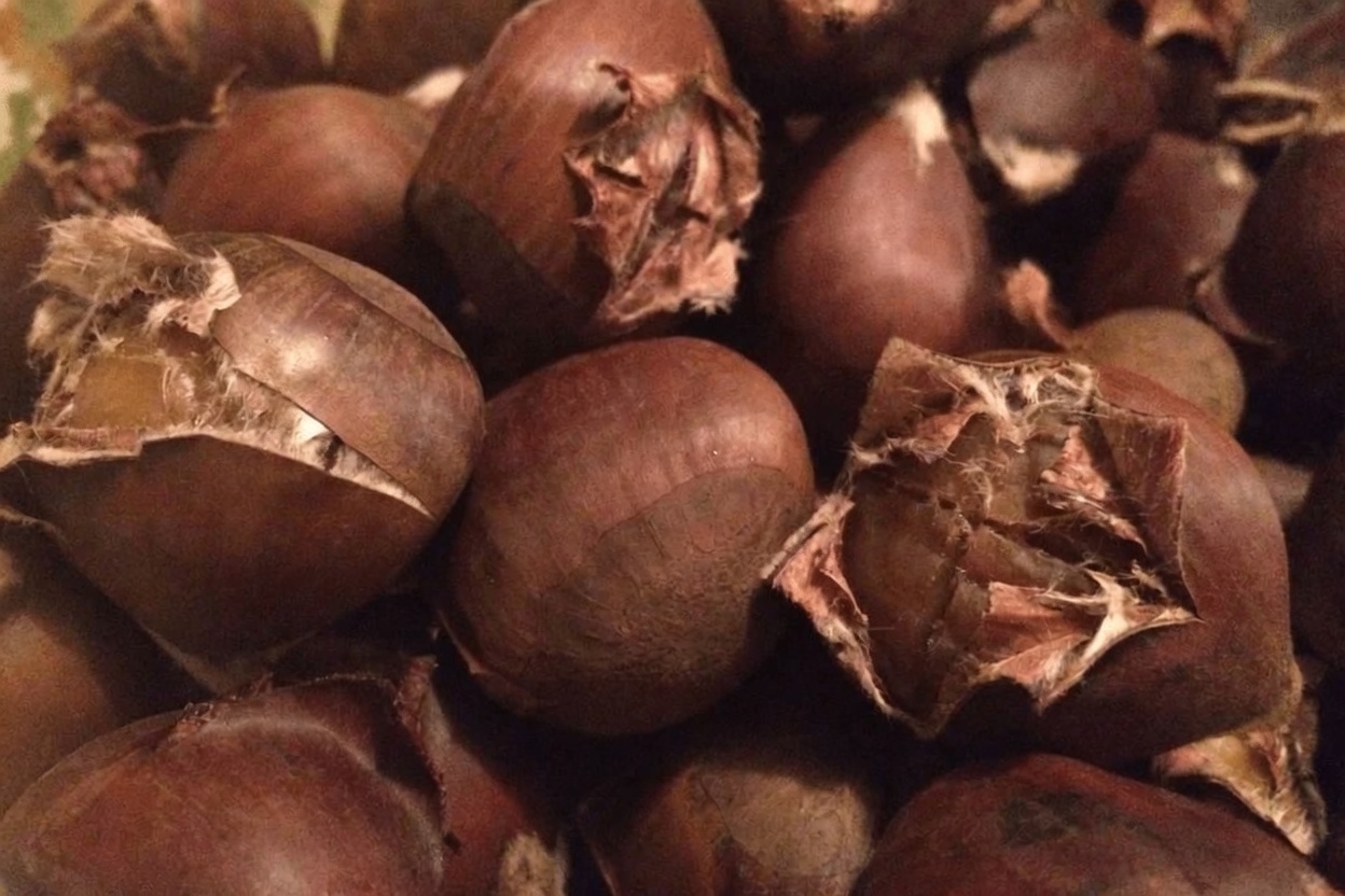 Créatinine en hausse ? Arrêtez immédiatement ces 3 noix — et prenez plutôt ces 3-là (vos reins vous remercieront dès demain)