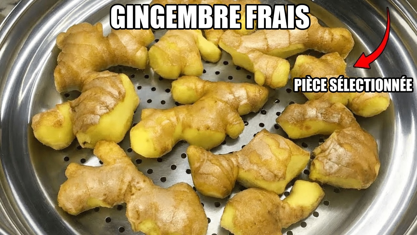 Gingembre vapeur : le remède ancestral de longévité qui pourrait améliorer la digestion, l’immunité et l’énergie