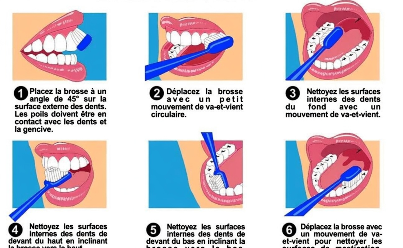 Des dents en bonne santé à 80 ans : les simples habitudes quotidiennes qui aident à protéger naturellement votre sourire