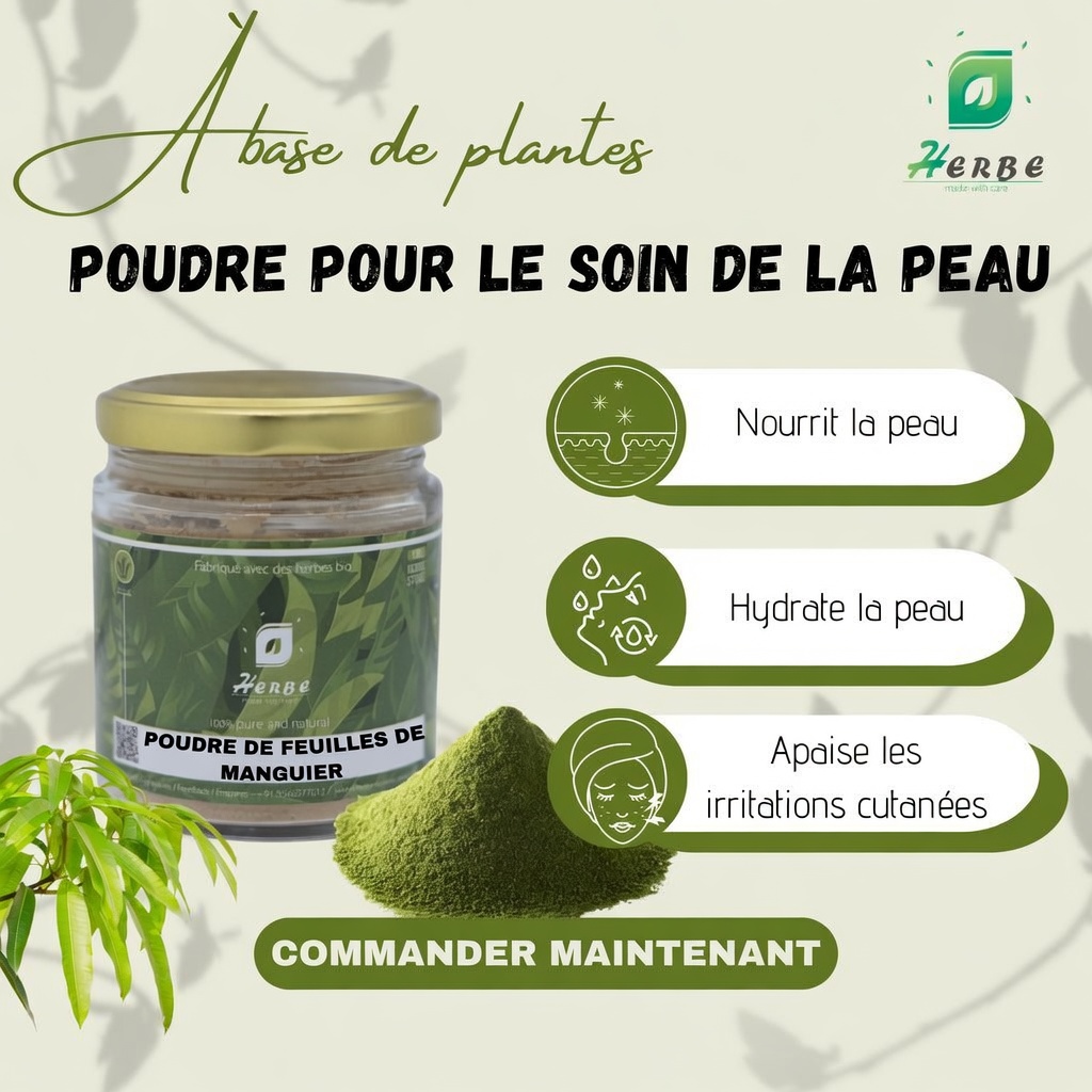 Feuilles de manguier : découvrez leurs bienfaits cachés et leurs utilisations DIY