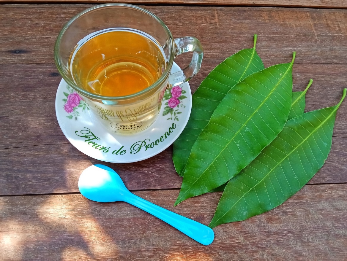 Feuilles de manguier : découvrez leurs bienfaits cachés et leurs utilisations DIY