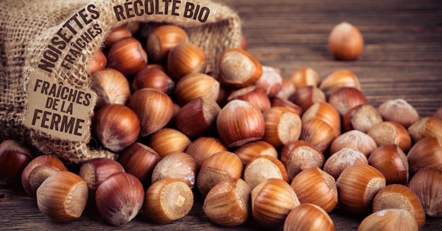 6 noix qui pourraient soutenir les défenses naturelles de votre organisme après 45 ans